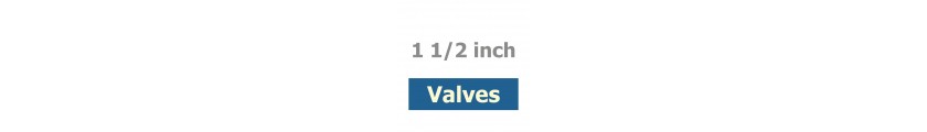 1 1/2 inch Valves